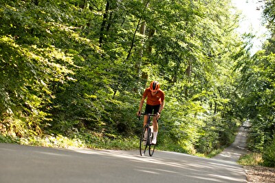 Fietsers op de weg of in het bos