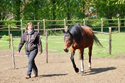 Paardencoaching & Yoga