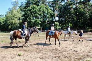 Kind-Ouder Paardenweekend